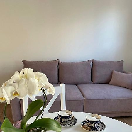 Apartament -Dwudziestka 산도미에르즈 외부 사진