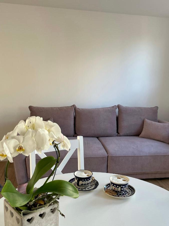 Apartament -Dwudziestka 산도미에르즈 외부 사진